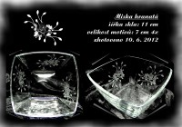 /album/misky/a10-6-2012-miska-hranata-jpg/